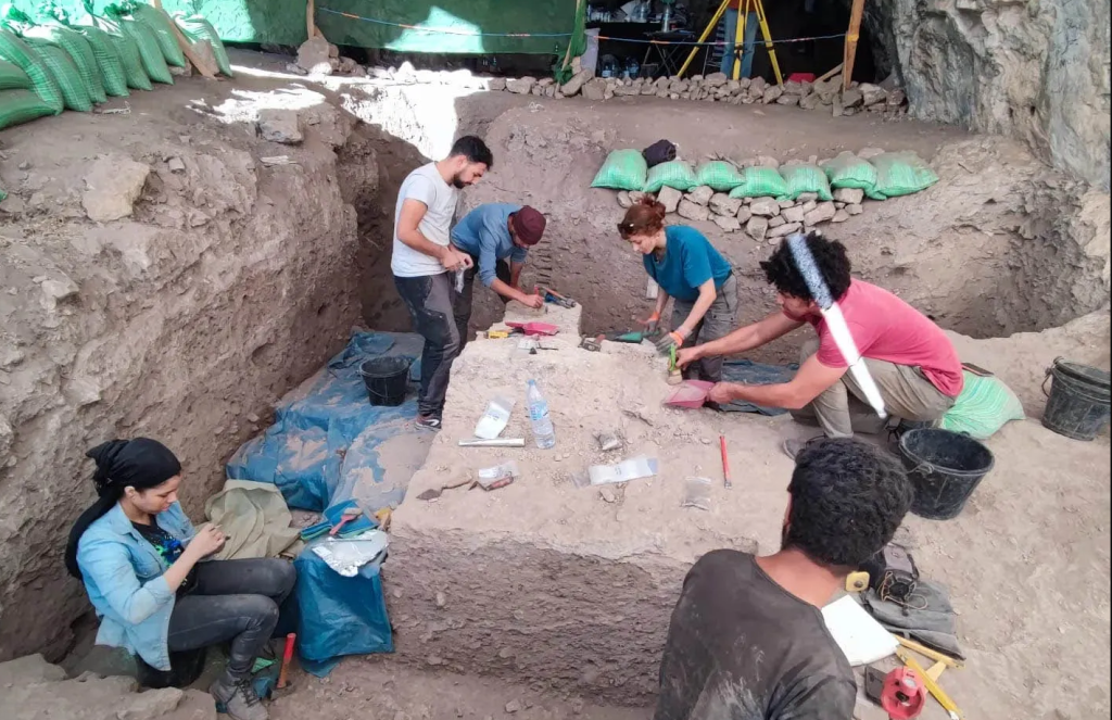 باحثون يعثرون على عظام “أسد الأطلس” المنقرض في المغرب