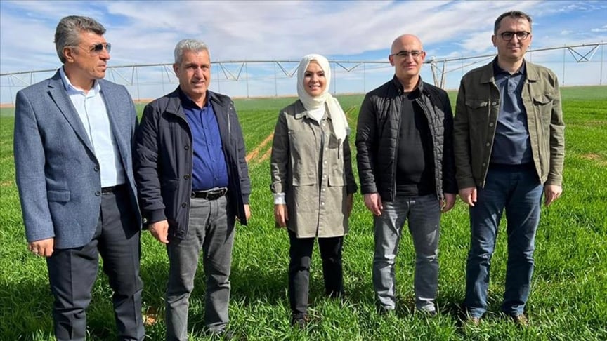 شركة تركية تنفذ مشروعا زراعيا ناجحا وسط صحراء الجزائر