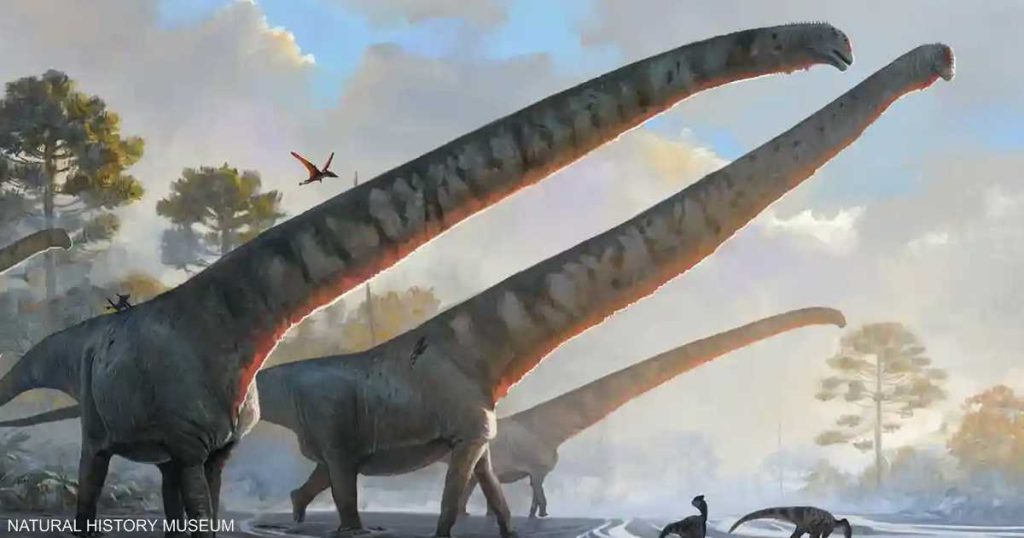 جاب الأرض قبل 160 مليون عام.. الكشف عن الديناصور صاحب أطول رقبة