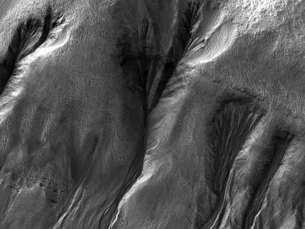 ناسا ترصد كثبان “دائرية غريبة” على سطح المريخ