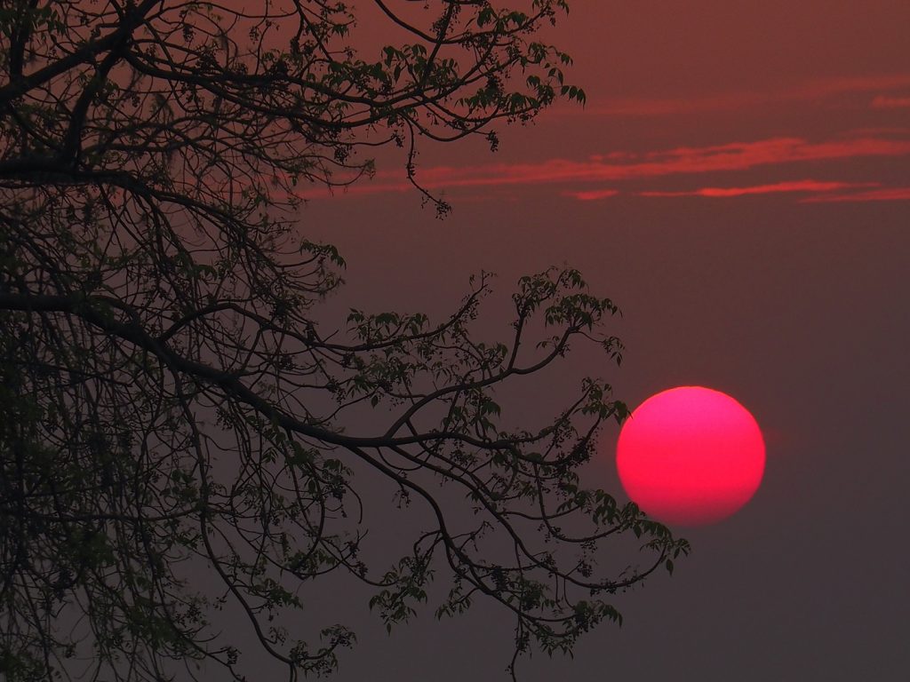 مشهد فلكي مذهل.. “القمر الوردي” يضيء السماء بجانب ظهور 3 كواكب