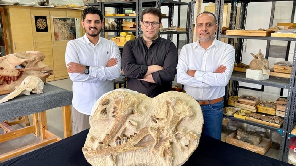 عمره 41 مليون سنة.. مصر تعلن اكتشاف أحد أقدم الحيتان في إفريقيا